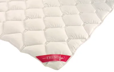 Produktbild von 85.Badenia Microfaser Steppbett Mono 135x200 cm 100% Polyester