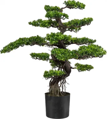 Produktbild von Kunstpflanze Bonsai Höhe: 90 cm grün