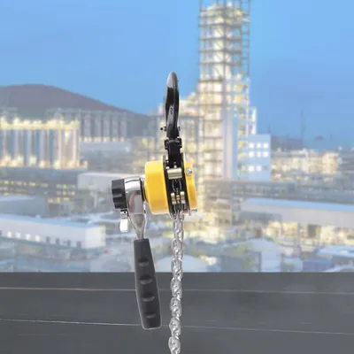 Imagen del producto de Mini elevador de cadena, con una capacidad de carga de 250 kg, longitud de cadena de 3 metros, fabricado en acero galvanizado, con doble sistema de seguridad en el cabrestante, e incluye una bolsa de transporte