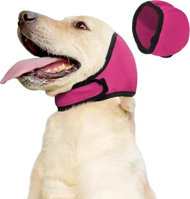 Produktbild von Hunde Ohrschutz gegen Angst, Lärm und Pflege - wasserdicht beruhigender Kopfschutzband