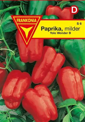 Produktbild von Paprika Yolo Wonder B
