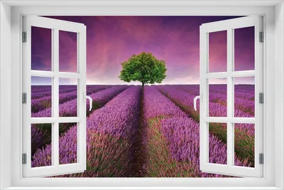 Produktbild von Wallario selbstklebendes Poster mit Fenster-Illusion - Lila Blumenfeld, Größe: 61 x 91,50 cm
