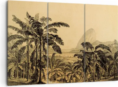 Produktbild von Bild auf Leinwand - Leinwandbild - 3 Teile - Palmen Wald Regnerisch - 105x70cm - Wand Bild - Wanddeko - Wandbilder - Leinwanddruck - Bilder - Wanddekoration - Leinwand bilder - CE105x70-4983