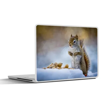 Produktbild von MuchoWow® Laptop Aufkleber Sticker Cover Eichhörnchen - Nüsse - Schnee - Winter - Nagetiere - Jahreszeiten 25x18 cm - Laptop-Deko