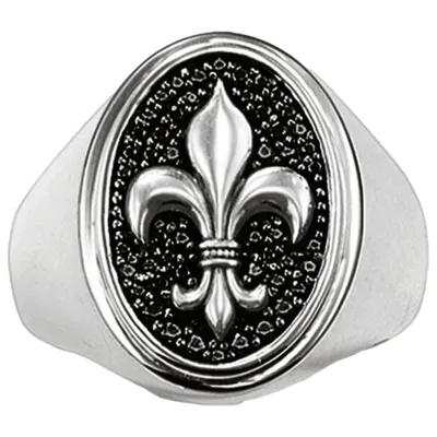 Obrázok produktu pre Thomas Sabo - TR1803-051-11-54 - Uni prsteň - 925 striebro - REBEL AT HEART - šírka 54