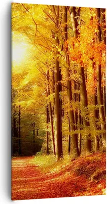 Produktbild von Bild auf Leinwand - Leinwandbild - Pfad Blätter Wald - 65x120cm - Wand Bild - Wanddeko - Wandbilder - Leinwanddruck - Bilder - Kunstdruck - Wanddekoration - Leinwand bilder - Wandkunst - PA65x120-0171