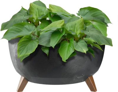 Immagine prodotto di KADAX vaso da fiori 47 cm coperchio + inserto gambe sughero portafiori nero