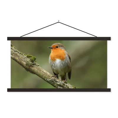 Produktbild von MuchoWow® Textilposter Vogel - Rotkehlchen - Zweig - Pflanzen 120x60 cm mit schwarzem Rahmen - Dekoration Schlafzimmer