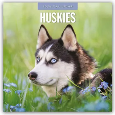 Immagine prodotto di Huskies - Husky - Huskies 2026 - Calendario di 16 mesi