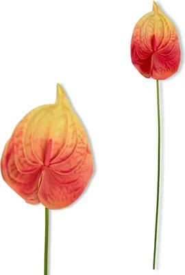 Produktbild von Zweig - Gelb-rote Schaumanthurie 57 cm