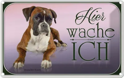 Produktbild von vianmo Blechschild 12x18 cm Hund Deutscher Boxer hier wache ich Tier Haustier
