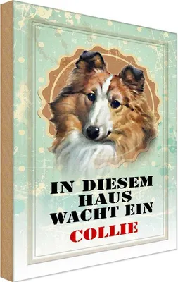 Produktbild von vianmo Holzschild 18x12 cm Hund in diesem Haus wacht ein Collie Tier Haustier
