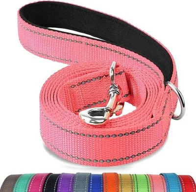 Produktbild von Reflektierende Hundeleine, beidseitig, 150 cm lang, mit gepolstertem Griff – Robuste Nylonleine für mittelgroße bis große Hunde