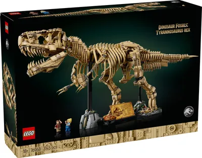 Produktbild von Dinosaurier-Fossilien: Tyrannosaurus rex