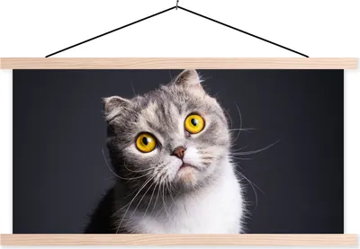 Produktbild von MuchoWow® Textilposter Katze - Augen - Licht 60x30 cm mit holzfarbenen Rahmen - Dekoration