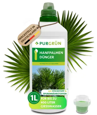 Produktbild von Purgrün Hanfpalmen Dünger | Flüssigdünger für Wachstum | 1L