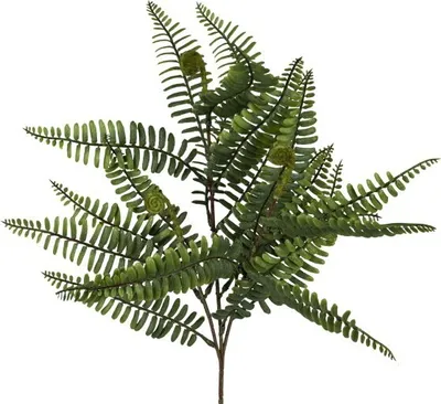 Produktbild von 1 Stück Deko-Zweig künstlicher Zweig Farnzweig 52cm grün