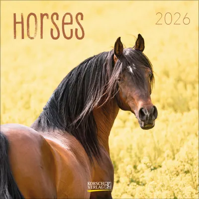 Produktbild von Horses 2026