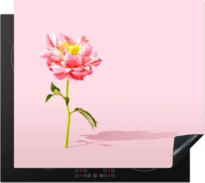 Produktbild von KitchenYeah© Herdabdeckplatte Rosa Pfingstrose auf einem rosa Hintergrund , 57x51cm, Küche Deko, Glaskeramikkochfeld Herdabdeckung, Abdeckplatte fùr Kochfeld