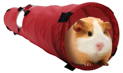 Immagine prodotto di SHELTERS Mondo vivente Nylontunnel, Rot M
