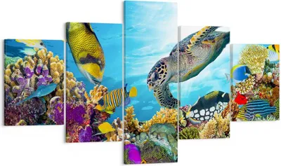 Produktbild von Bild auf Leinwand - Leinwandbild - Riff Koralle Fisch - 125x70cm - Wand Bild - Wanddeko - Leinwanddruck - Bilder - Kunstdruck - Wanddekoration - Leinwand bilder - Wandkunst - EA125x70-3704