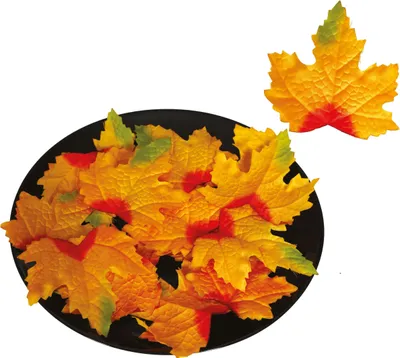 Produktbild von Orange Kürbisblätter, 24 Stück, 9-10 cm