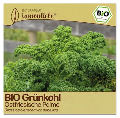 Samenliebe Grnkohl Samen | Ostfriesische Palme -