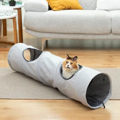 Zdjęcie produktu dla Składany tunel dla zwierząt Funnyl InnovaGoods