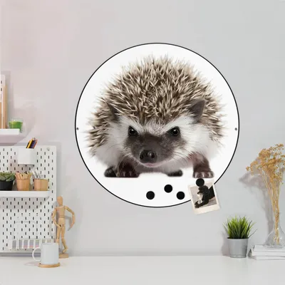 Produktbild von Design Stahlmagnettafel Schwarz Rund 47cm Igel
