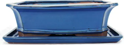 Image de bol bonsaï avec soucoupe taille 5 - bleu - carré - modèle g4 - l 31cm - l 23cm - l 23cm - h 9,5 cm