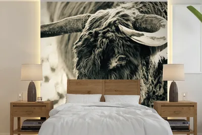 Produktbild von MuchoWow® Fototapete für Wohnzimmer oder Schlafzimmer Wandtapete Vinyl Motivtapete Schottischer Highlander - Schnee - Hörner - 240x240 cm - Schlafzimmer-Tapete