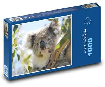 Obrázok produktu pre Puzzle 1000 Koala v Eukalyptuse - martinpuzzle