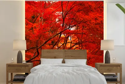 Produktbild von MuchoWow® Fototapete für Wohnzimmer oder Schlafzimmer Wandtapete Vinyl Motivtapete Herbst - Wald - Rot - 300x300 cm - Wanddekoration