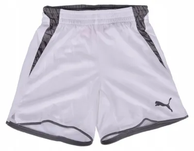 Imagen del producto de Pantalones Puma 70059804XXA