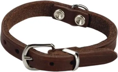 Produktbild von Beeztees - Hundehalsband - Leder - braun - 17,5-22,5 cm x 10 mm