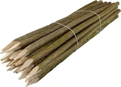 Productafbeelding van Natuur Hekpalen 25 Stuks - Geslepen Ronde Deuvels voor Tuinhek, Hoogte 100 cm