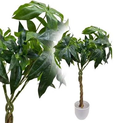 Produktbild von Glückskastanie 60 cm künstlich wie echt Kunstbaum Kunstpflanze Kunstblume Deko