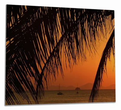 Produktbild von Wallario Herdabdeckplatte aus Glas, Größe 60 x 52 cm 1-teilig, Motiv Sonnenuntergang unter Palmenblättern