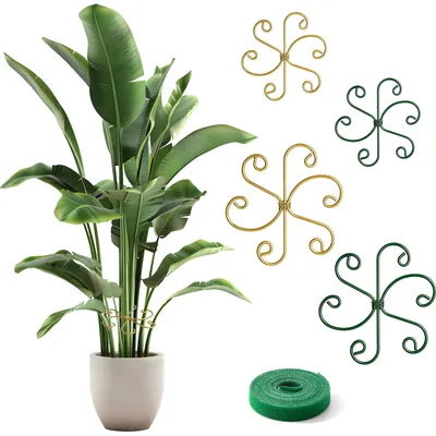 Productafbeelding van Set van 4 Monstera Plantsteunen in 2 Maten