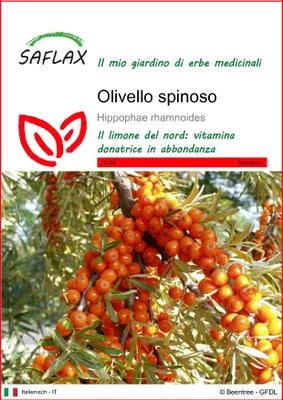 Immagine prodotto di SAFLAX  - Olivello spinoso - 40 semi - Hippophae