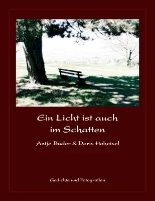 Produktbild von Ein Licht ist auch im Schatten