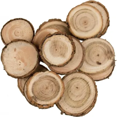Zdjęcie produktu dla Akcesoria do rękodzieła Krążki sosnowe okrągłe 100 g w torebce Średnica 3–5 cm NOWOŚĆ