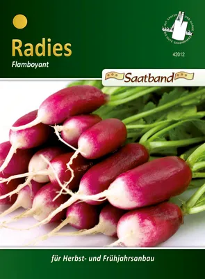 Produktbild von Radies Flamboyant (Saatband) | Radieschensamen von N.L. Chrestensen