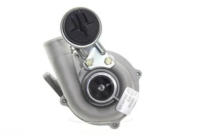 Produktbild von Turbolader ALANKO 11900020 für RENAULT Clio III Schrägheck (BR0/1, CR0/1)