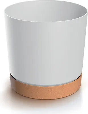 A white cylindrical pot with a brown base.