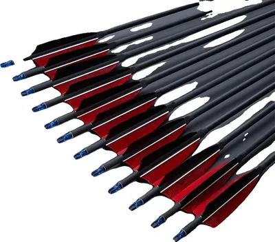 Produktbild von Bogenschießen Carbonpfeile, Präzisionsleistung, leichtes Design, 24pcs