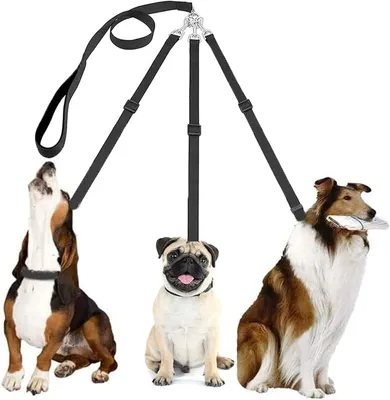 Produktbild von Hundeleine für 3 Hunde, 3-in-1 Welpenleine, Nylon, 53-88 cm, für kleine Hunde