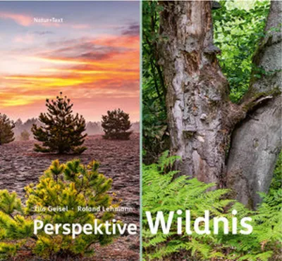 Image de Perspektive Wildnis: Wildnisgebiete Brandenburgs – ehemalige Truppenübungsplätze mit beeindruckenden Fotos
