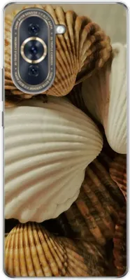 Produktbild von König Design Hülle kompatibel mit Huawei nova 10 Kunststoff Soft Handyhülle - Handy Case Muscheln