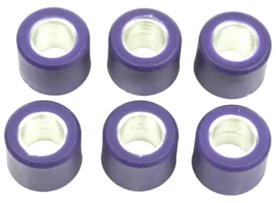 Immagine prodotto di Kit 6 rulli variatore ATHENA 16x13 8g